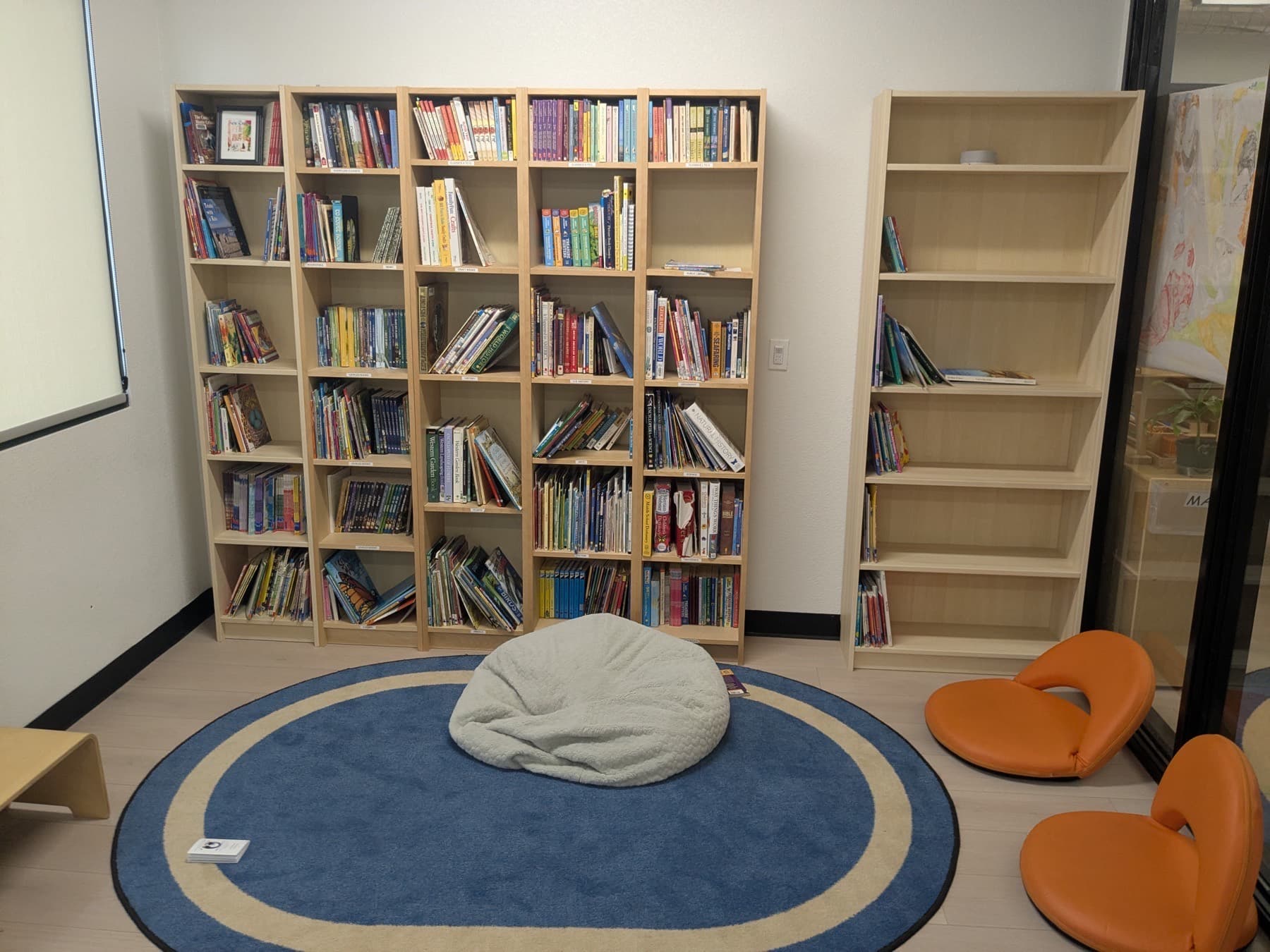 The Meadow View Learning reading corner — full bookshelves around a round blue rug with a beanbag and low floor chairs